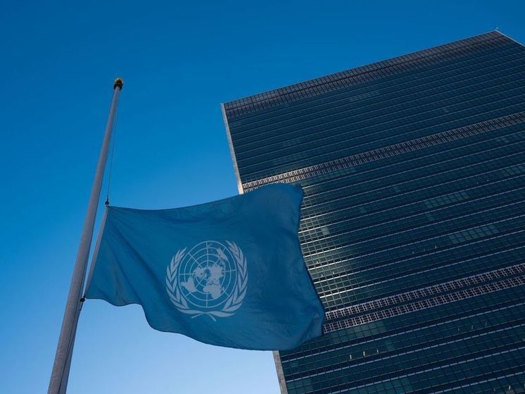 В ООН сообщили о гибели 102 сотрудников БАПОР в секторе Газа
