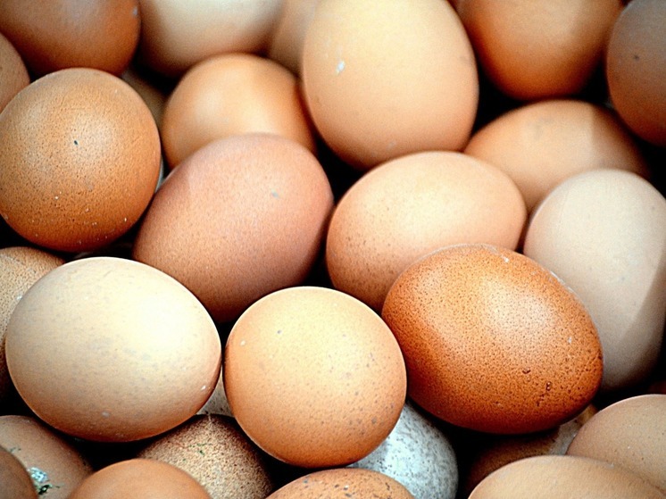 Яйца в Карелии подорожали за октябрь на 15,4%