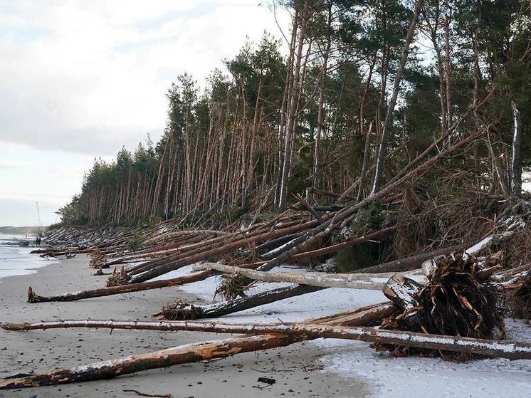 В Куликово провели первый этап берегоукрепления