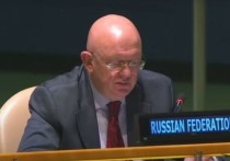 Постоянный представитель России при Организации Объединенных Наций Василий Небензя, выступая на заседании Совета безопасности, заявил, что прекращение огня в секторе Газа является безусловным требованием