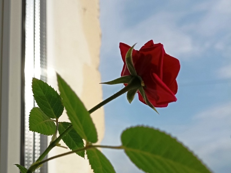 Сила магнитной бури 16 ноября составит 3 балла