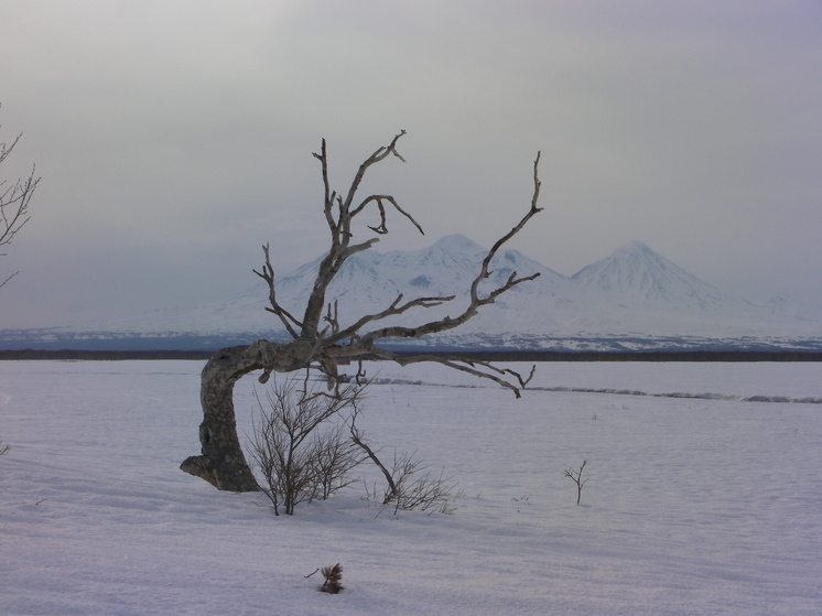 На Камчатку пришла настоящая зима