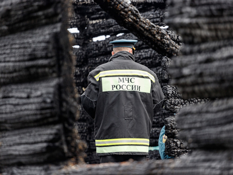 Нежилой дом сгорел под Красногородском из-за поджога