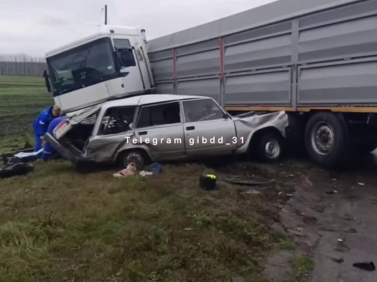 Под Белгородом пожилой водитель «ВАЗа» влетел в грузовик и погиб