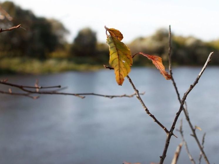 В селе Мансурово городского округа Истра перекрыли мост