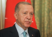 Портал Euractiv сообщает, что президент Турции Реджеп Тайип Эрдоган во время встречи с канцлером ФРГ Олафом Шольцем в Берлине в эту пятницу может сообщить о готовности ратифицировать заявку Швеции на вступление в НАТО