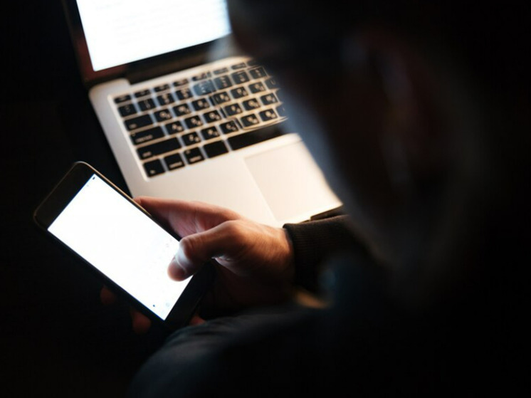 Дмитрий Янин объяснил причины роста количества интернет-мошенников