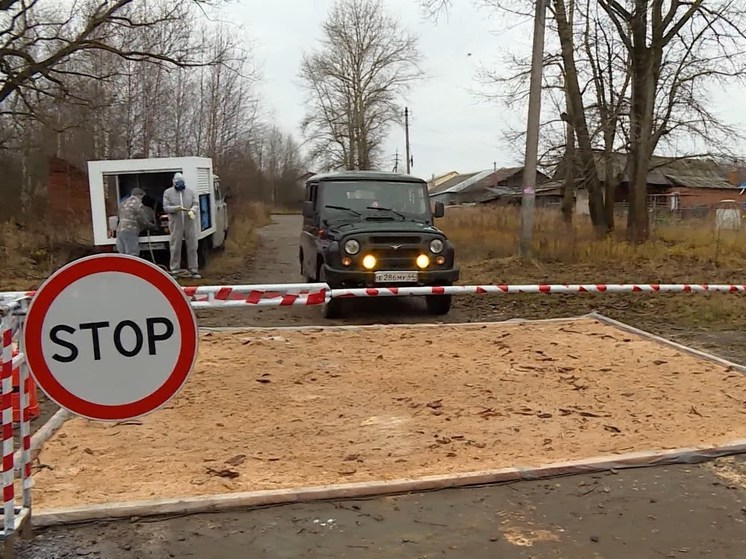 Костромские напасти: в Макарьевском районе зафиксирована новая вспышка АЧС среди кабанов