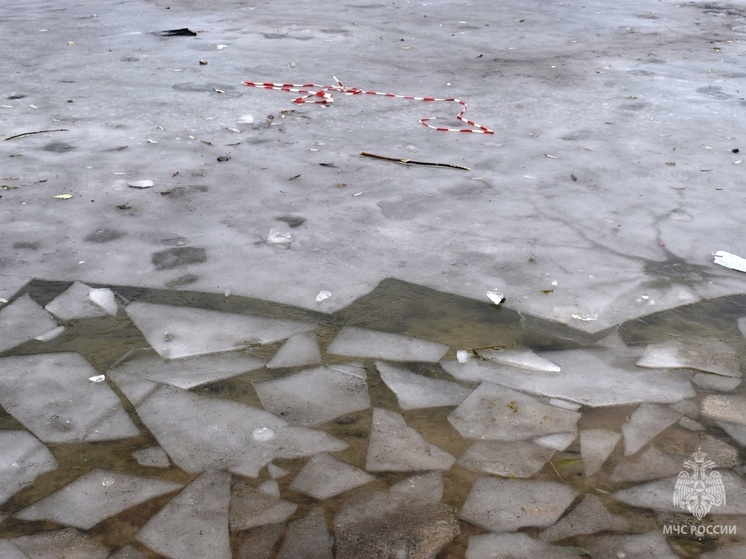 В Челябинске подростков сняли со льда городского пруда