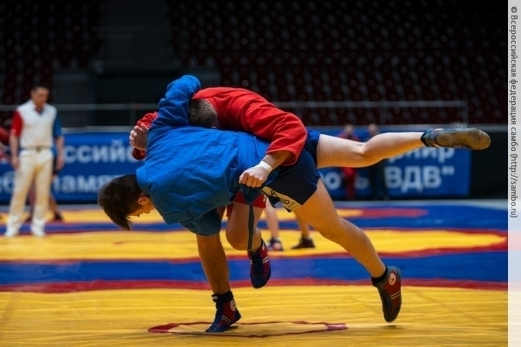 Елисеев предложил включить самбо в программу Игр дружбы