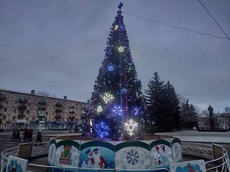 Иркутск приобрёл для подшефного города Кировска новогоднюю ель