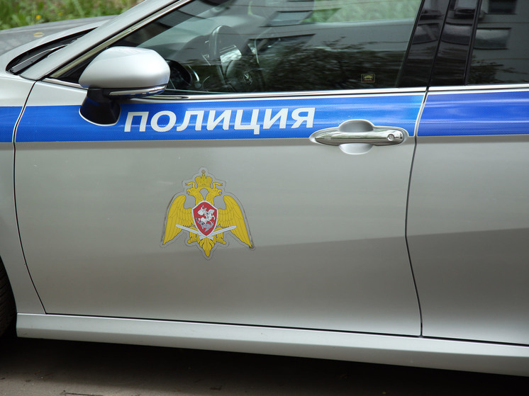 СМИ: Иностранцы после ДТП устроили поножовщину в Подмосковье