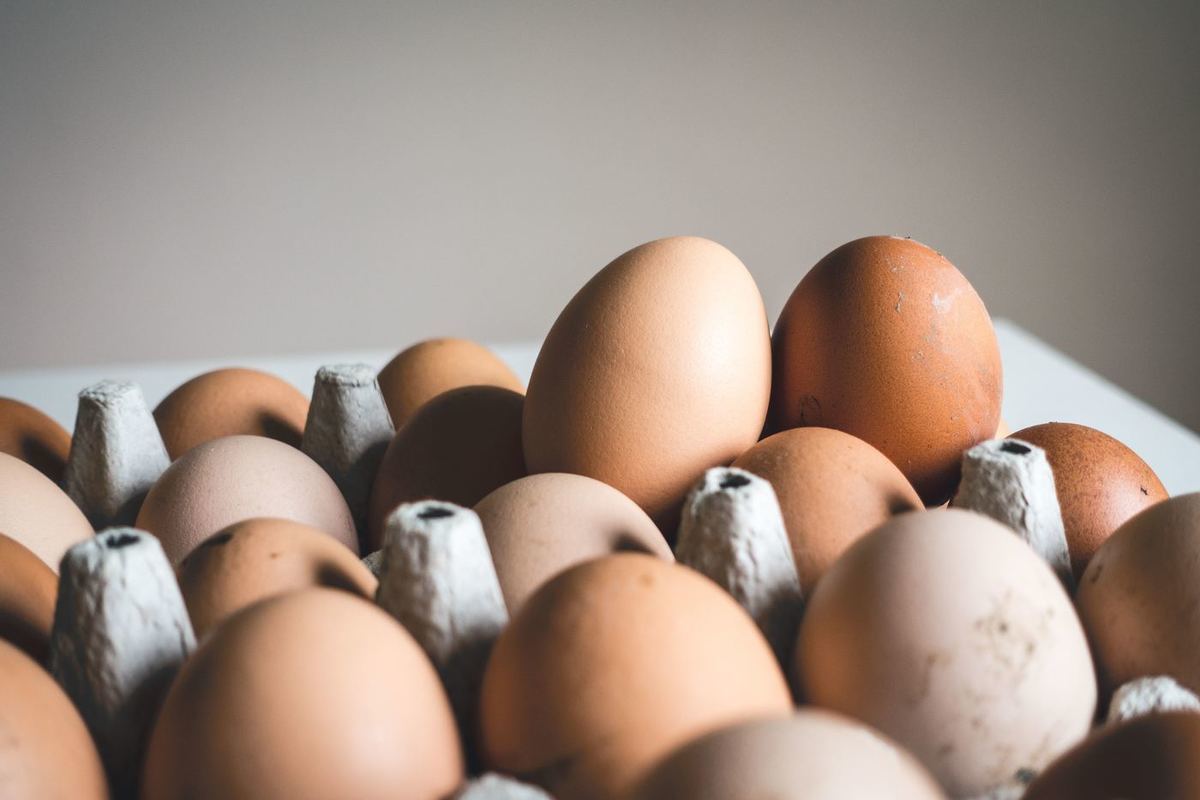 Алиханов назвал необъективным рост цен на куриные яйца