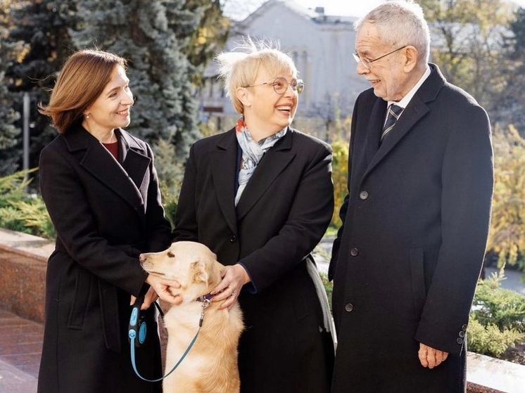 Собака президента Молдавии Санду укусила за руку главу Австрии