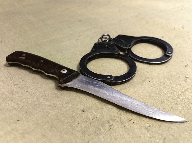 Пенсионера из Хабаровского края осудили на восемь лет за убийство