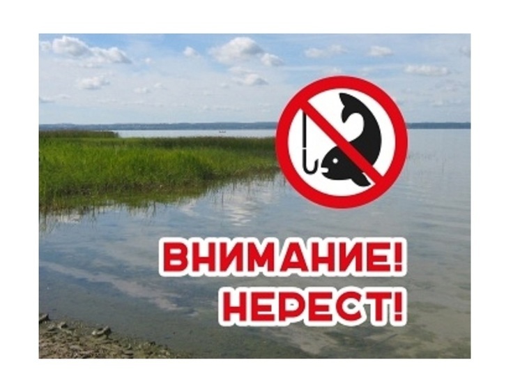 В Переславле-Залесском запретили ловить рыбу