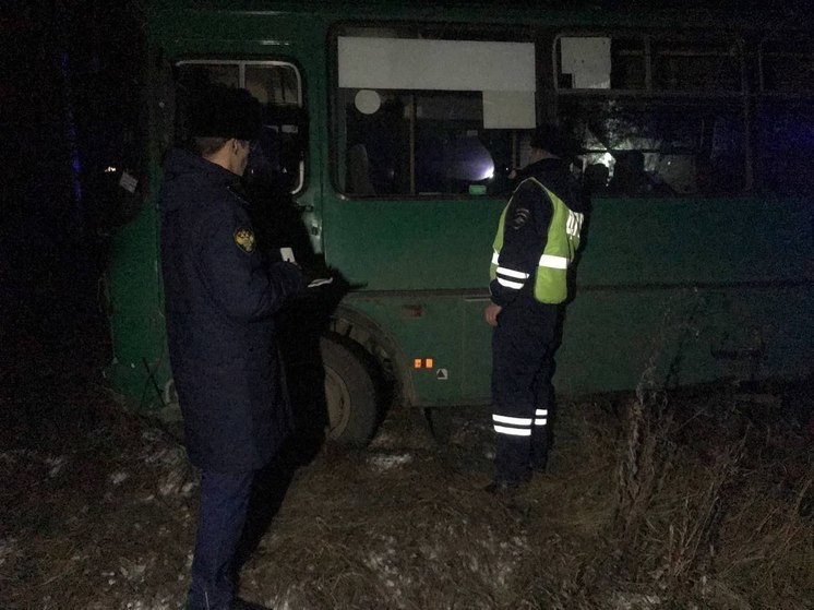 В Ярославской области рейсовый автобус вылетел в кювет