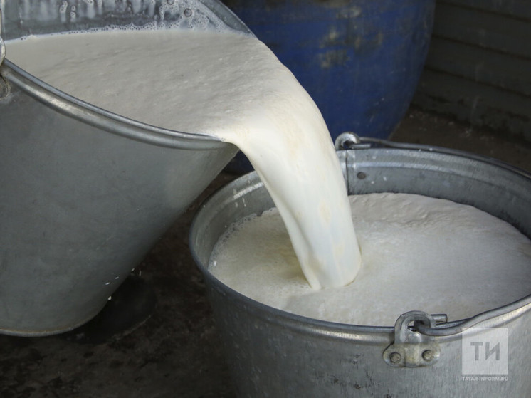 Татарстан может побить рекорд по производству молока
