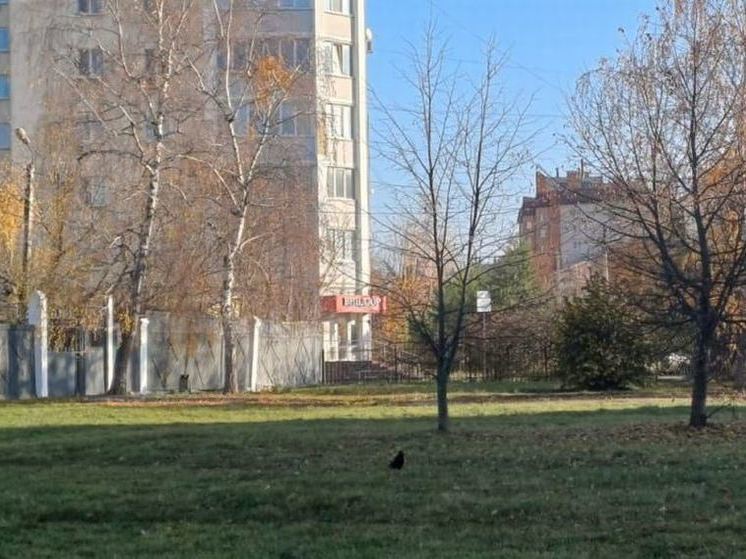 В Орле на набережной Дубровинского может появиться новый сквер