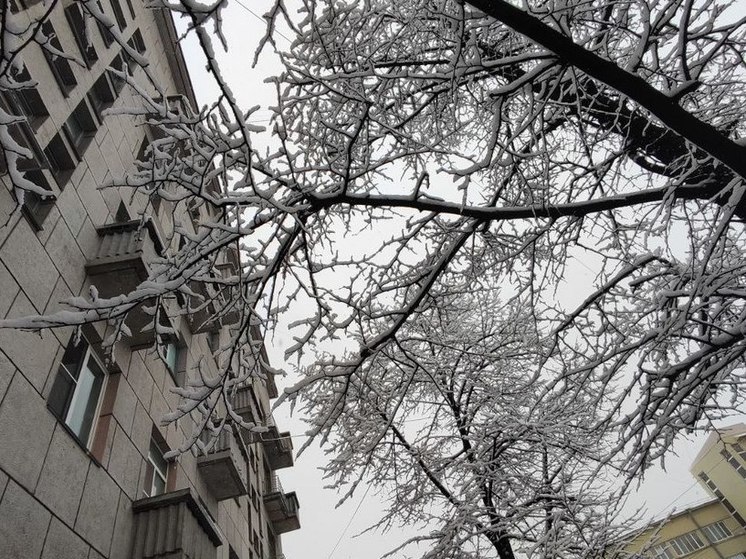 Петербуржцы встретили ноябрьский температурный минимум в ночь на 17 ноября