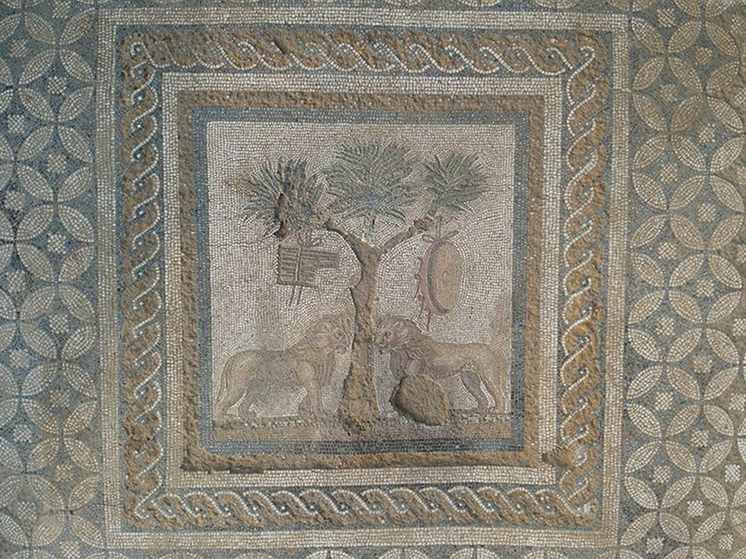 В Турции археологи нашли необычную древнюю мозаику со львами0