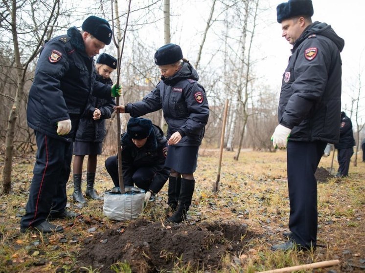 В Воронеже в парке «Оптимист» участковые полиции высадили 100 саженцев рябины