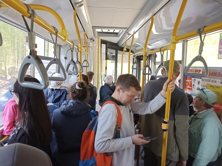 Под Новосибирском водитель высадил из автобуса 10-летнюю девочку