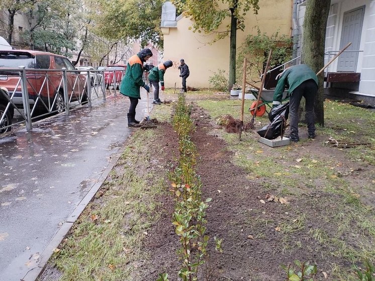 Во Всеволожском районе благоустроят 15 общественных пространств в 2024 году