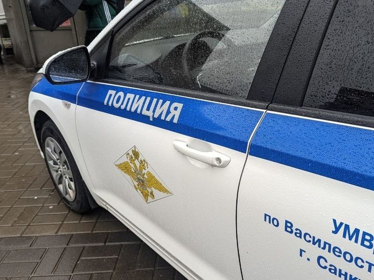 В Петербурге поймали молодого преступника, угнавшего автомобиль
