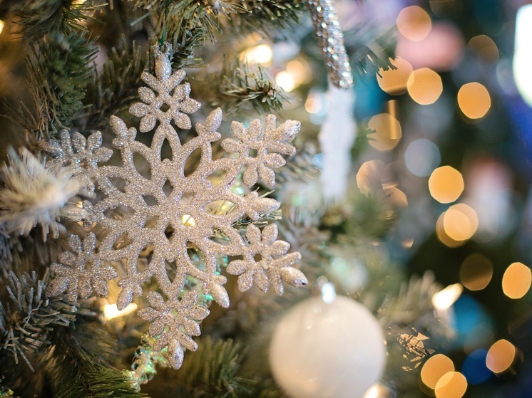 Главную новогоднюю ель установят в Нижнем Новгороде к 10 декабря