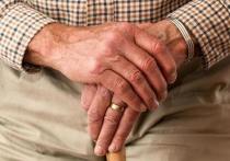 Всероссийская акция «Мечты невидимых стариков» стартовала в Чите, в рамках которой жителям города предлагают помочь одиноким пенсионерам