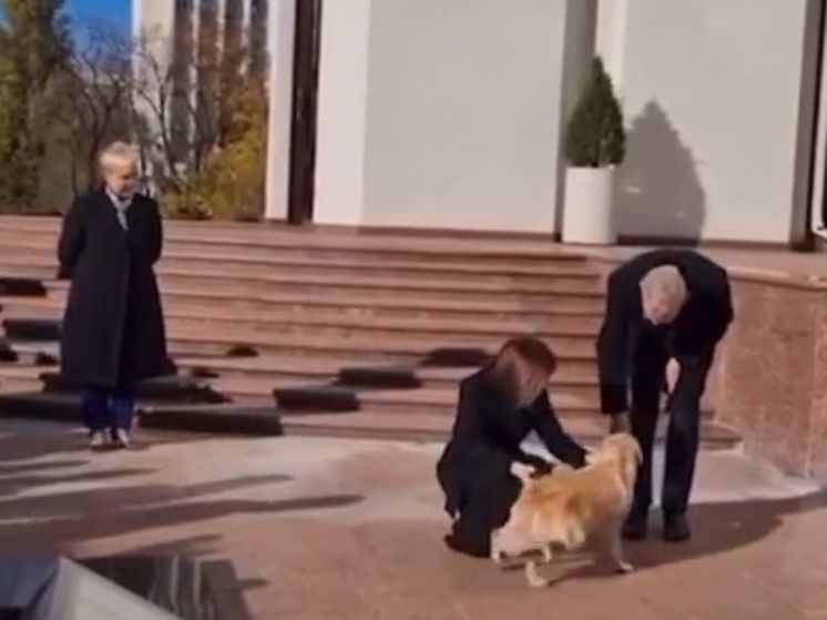 Покусанный в Молдавии президент Австрии понял и простил собаку Санду