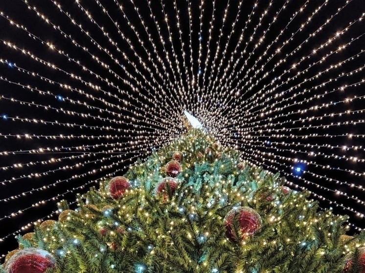 К Новому году в Рязани установят светящиеся арки и зимние фонтаны