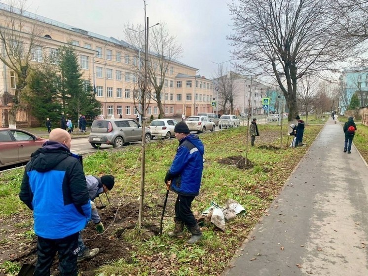 В Новомосковске закончили осеннюю кампанию по озеленению