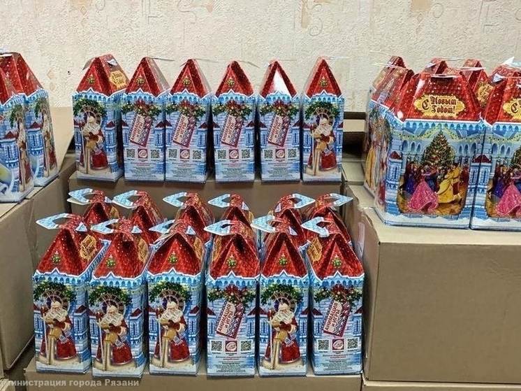 В Рязанской области выделили 13,5 млн рублей на новогодние подарки детям