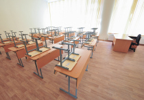 В некоторых учебных заведениях России не хватает до трети педсостава
