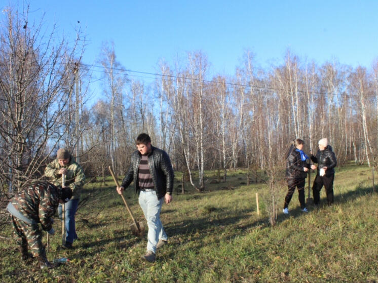 Под Орлом в «Верочкиной роще» посадили 50 молодых сосен