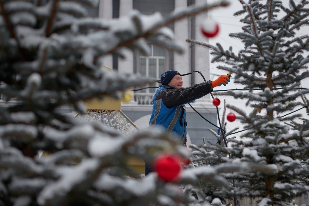Новогоднюю локацию «Красный лес» в Курске украсят 120 живыми елями