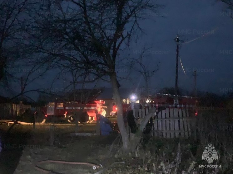 В Тульской области в деревне Гремячево во время пожара пострадал мужчина