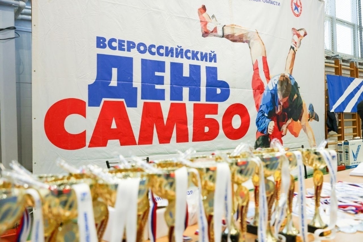 В Гатчине прошел всероссийский день самбо