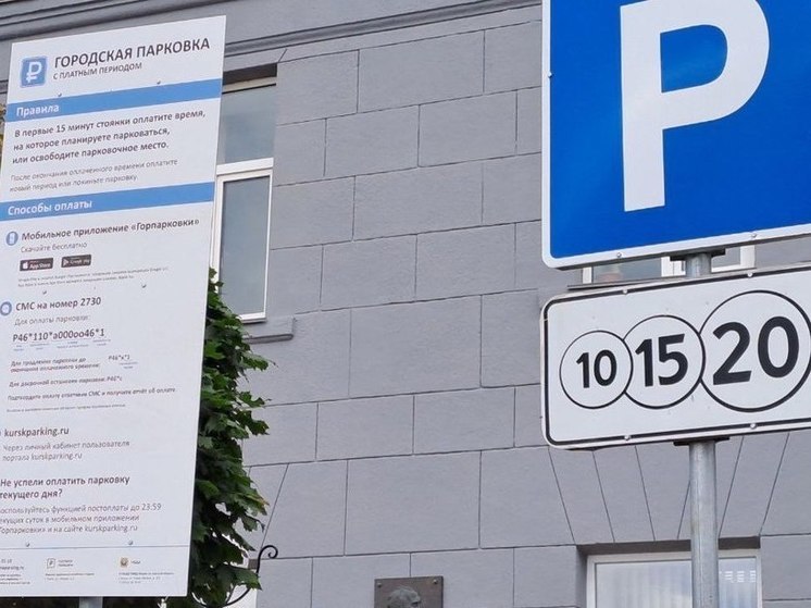 В Курске ветерана боевых действий освободили от 29 штрафов о неоплате платной стоянки