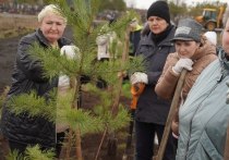 В Оренбурге, на кладбищенском комплексе Степной обустраивают аллею памяти воинов, погибших в ходе проведения специальной военной операции