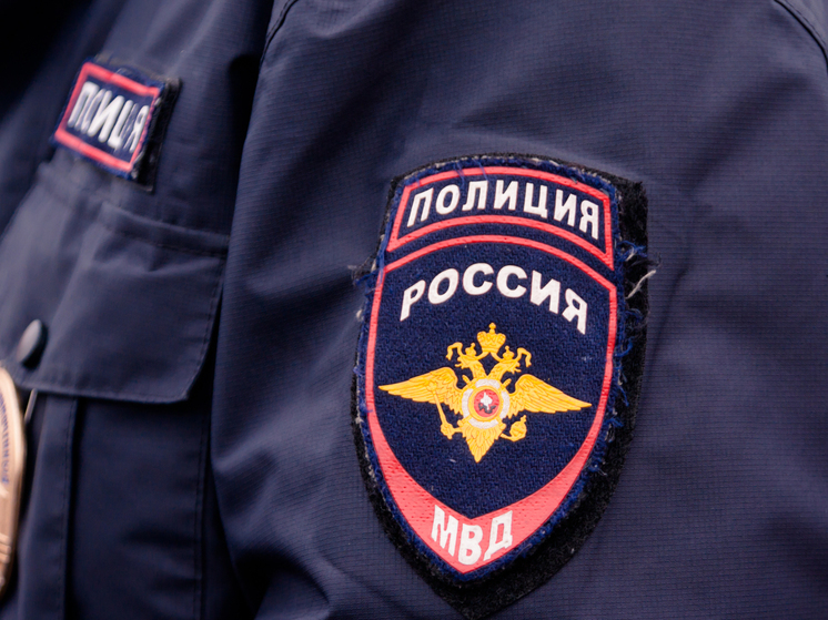 Полицейские задержали на севере Карелии 14 иностранцев-нарушителей