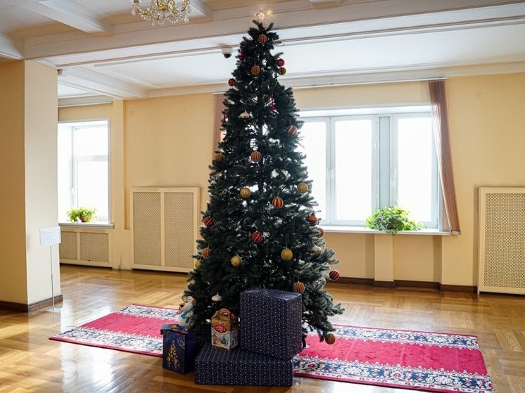В Приангарье объявлен сбор елочных украшений для жителей Кировска