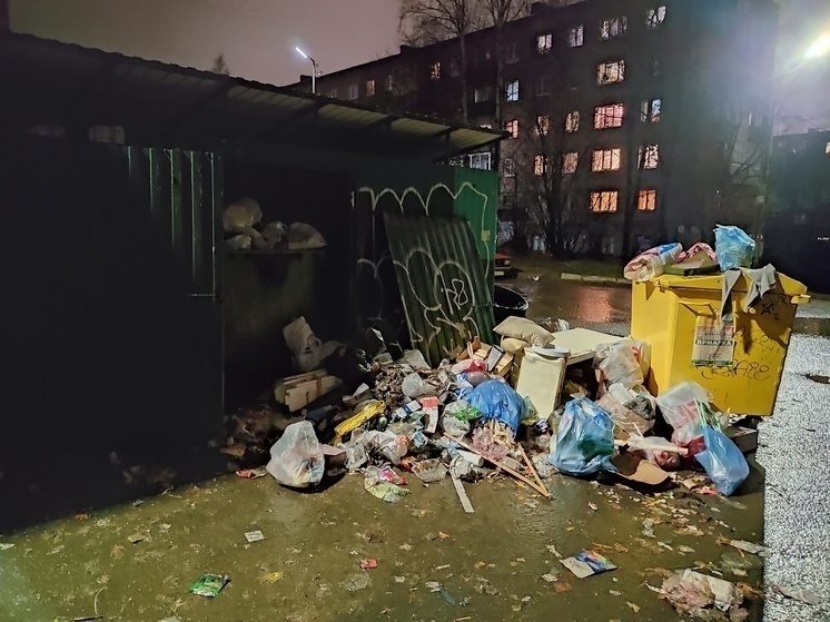 Власти Петрозаводска придумали, кто будет убирать на помойках города мелкий мусор