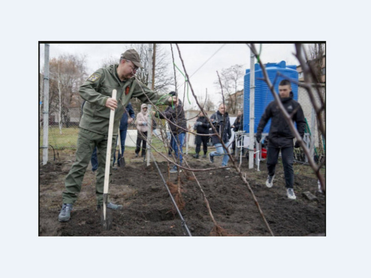Губернатор Ставрополья высадил саженцы яблонь в антрацитовских садах
