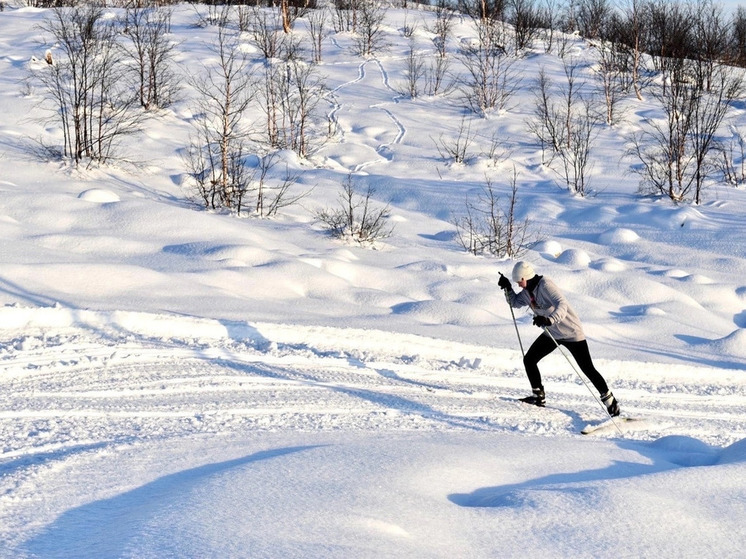 «Раскатаем лыжню»: в Печенгском округе начинается сезон лыжных гонок