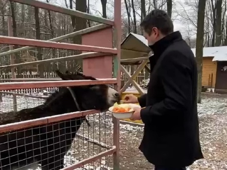 Глава Новомосковска Бутов проверил подготовку зоопарка к зиме