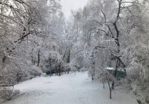 Как сообщили специалисты «Дальневосточного УГМС» в воскресенье, 19 ноября, в Хабаровске будет идти небольшой снег, днем температура снова поднимется до 0 -2 градусов