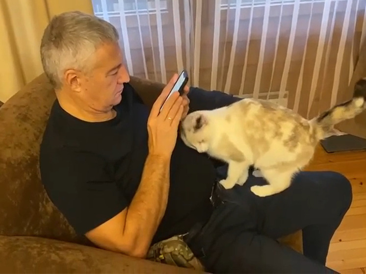 Глава Карелии показал кошку, которую взял из приюта